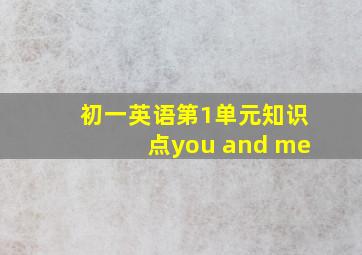 初一英语第1单元知识点you and me